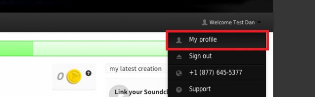 The My Profile option in the myDJTT dropdown