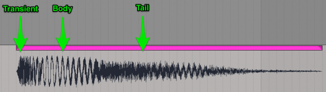 Sample Anatomy 101